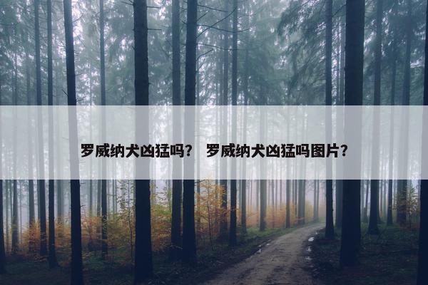 罗威纳犬凶猛吗？ 罗威纳犬凶猛吗图片？