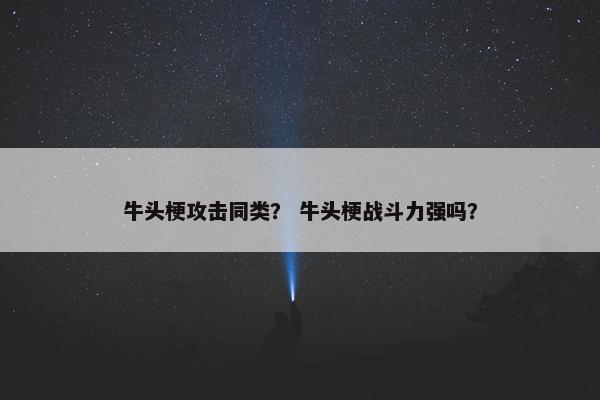 性格 第7页