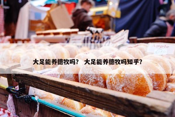 松狮 第10页