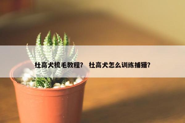 杜高犬梳毛教程？ 杜高犬怎么训练捕猎？