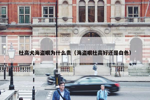 杜高犬海盗眼为什么贵（海盗眼杜高好还是白色）