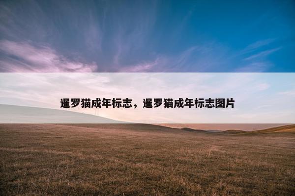 暹罗猫成年标志，暹罗猫成年标志图片