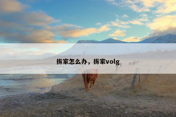 拆家怎么办，拆家volg