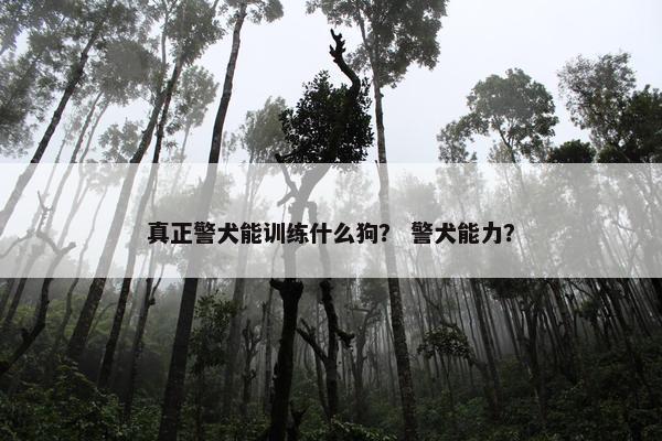 真正警犬能训练什么狗？ 警犬能力？