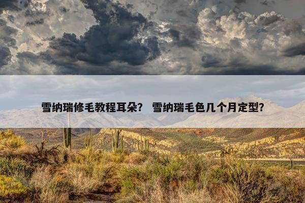 雪纳瑞修毛教程耳朵？ 雪纳瑞毛色几个月定型？