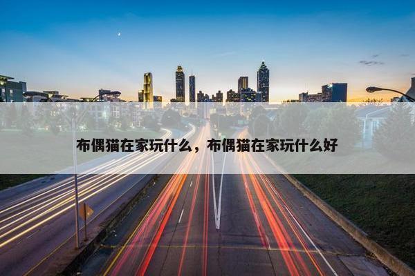 布偶猫在家玩什么，布偶猫在家玩什么好