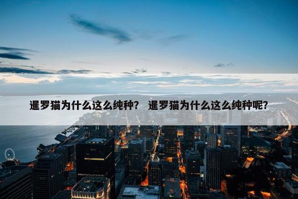 暹罗 第10页