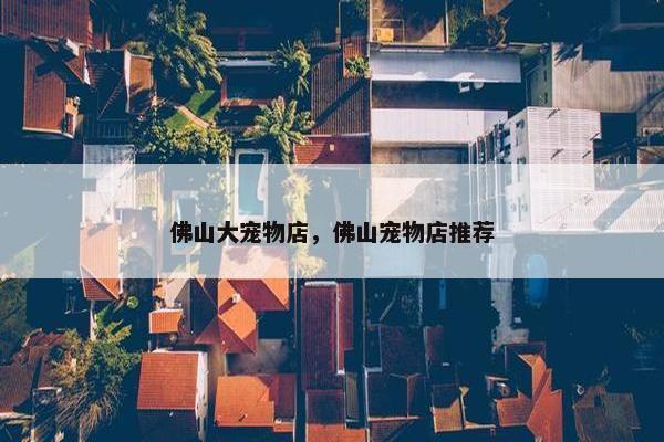 佛山大宠物店，佛山宠物店推荐