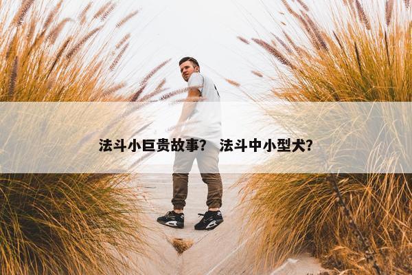法斗小巨贵故事？ 法斗中小型犬？