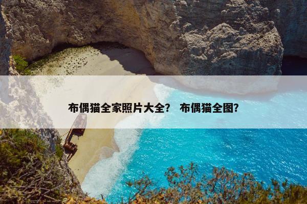 布偶猫全家照片大全？ 布偶猫全图？