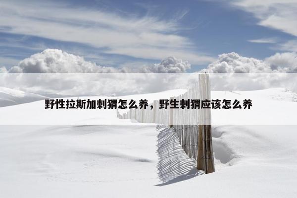 白羊座