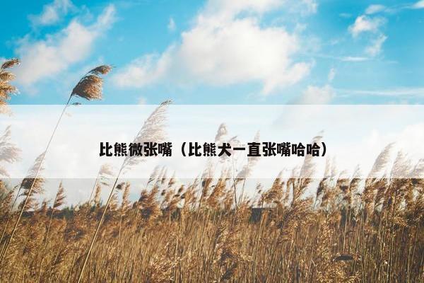 玩耍
