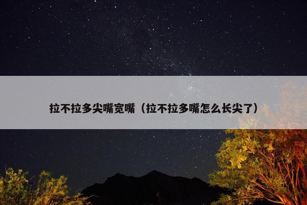 拉不拉多尖嘴宽嘴（拉不拉多嘴怎么长尖了）