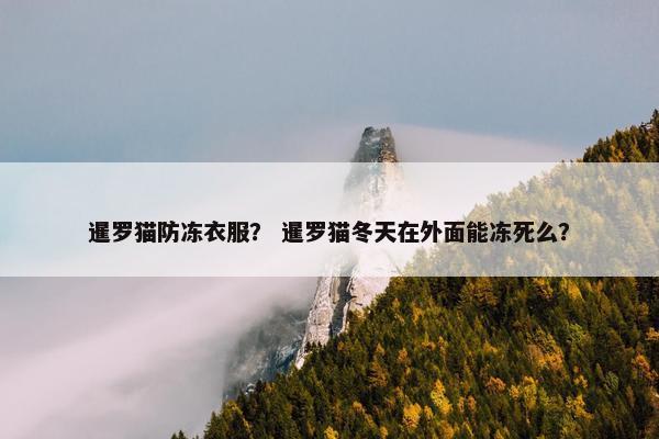 暹罗猫防冻衣服？ 暹罗猫冬天在外面能冻死么？