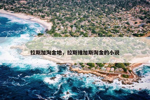 拉斯加淘金地，拉斯维加斯淘金的小说