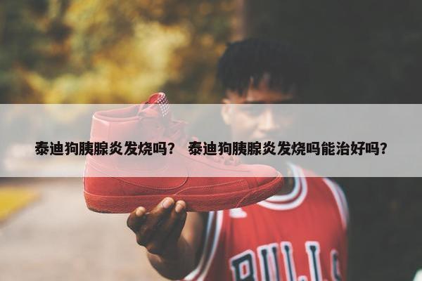 泰迪狗胰腺炎发烧吗？ 泰迪狗胰腺炎发烧吗能治好吗？