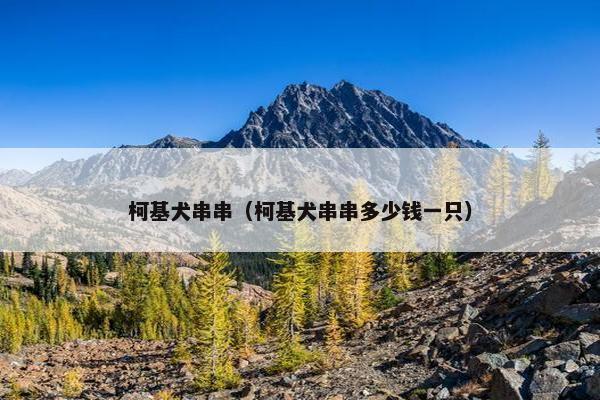 柯基犬串串（柯基犬串串多少钱一只）