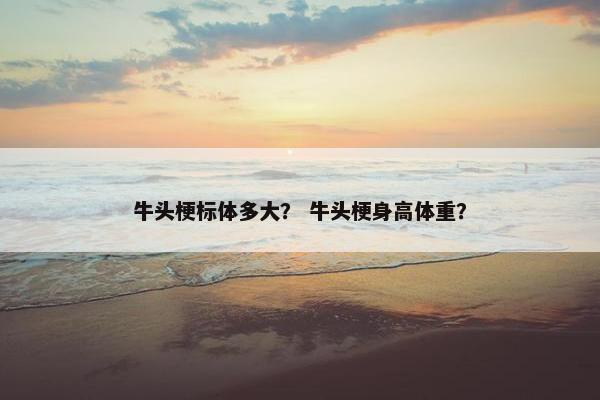 牛头梗标体多大？ 牛头梗身高体重？