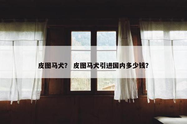 马克斯
