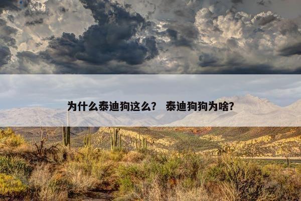 为什么泰迪狗这么？ 泰迪狗狗为啥？