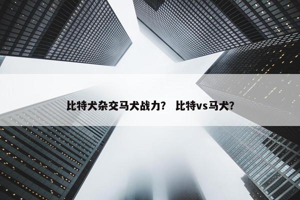 比特犬杂交马犬战力？ 比特vs马犬？