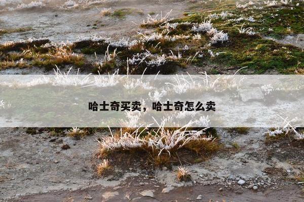 哈士奇买卖，哈士奇怎么卖