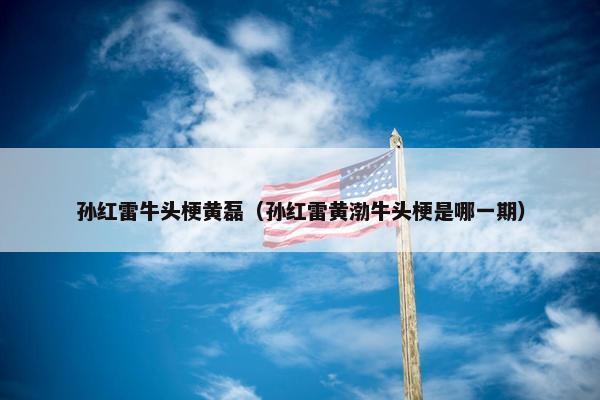 孙红雷牛头梗黄磊（孙红雷黄渤牛头梗是哪一期）