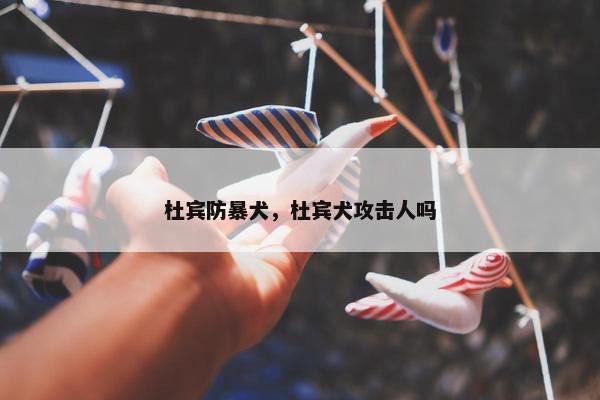 杜宾防暴犬，杜宾犬攻击人吗