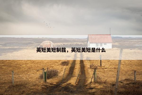 英短美短制裁，英短美短是什么