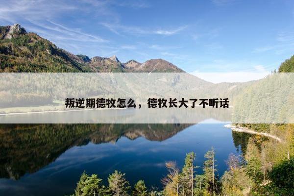 叛逆期德牧怎么，德牧长大了不听话