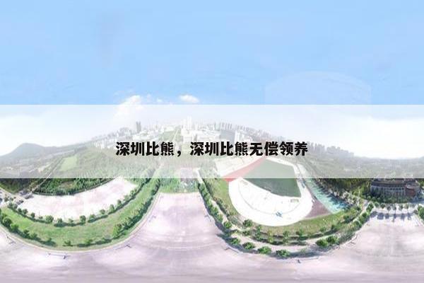 深圳比熊，深圳比熊无偿领养