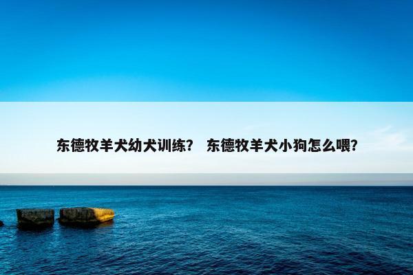 东德牧羊犬幼犬训练？ 东德牧羊犬小狗怎么喂？