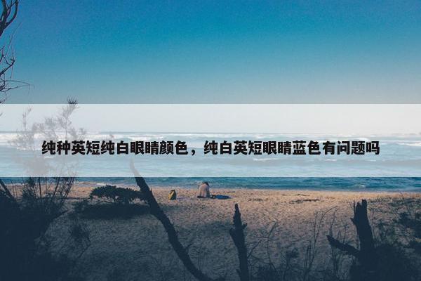 纯种英短纯白眼睛颜色，纯白英短眼睛蓝色有问题吗