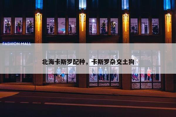 北海卡斯罗配种，卡斯罗杂交土狗