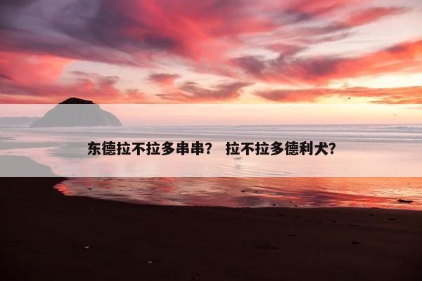 东德拉不拉多串串？ 拉不拉多德利犬？