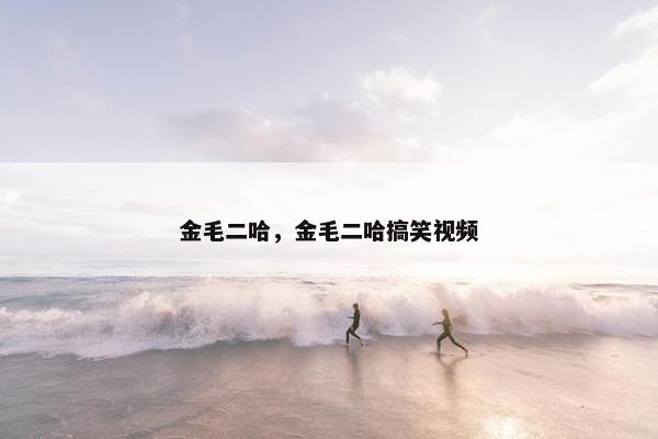 金毛二哈，金毛二哈搞笑视频