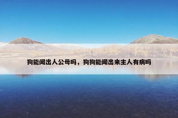 狗能闻出人公母吗，狗狗能闻出来主人有病吗