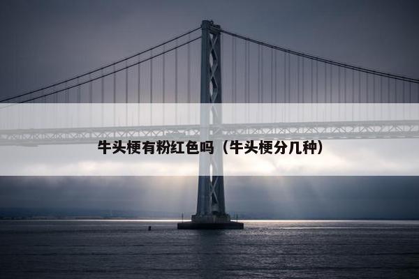 牛头梗有粉红色吗（牛头梗分几种）