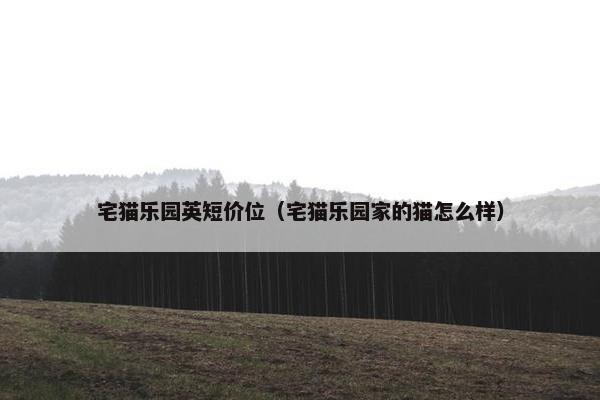 国内