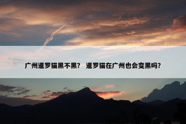 广州暹罗猫黑不黑？ 暹罗猫在广州也会变黑吗？