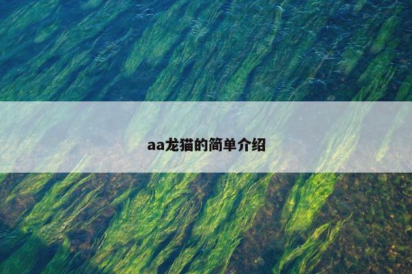 aa龙猫的简单介绍