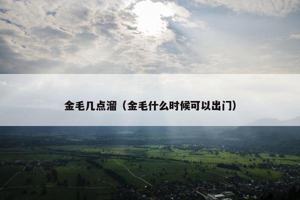 金毛几点溜（金毛什么时候可以出门）