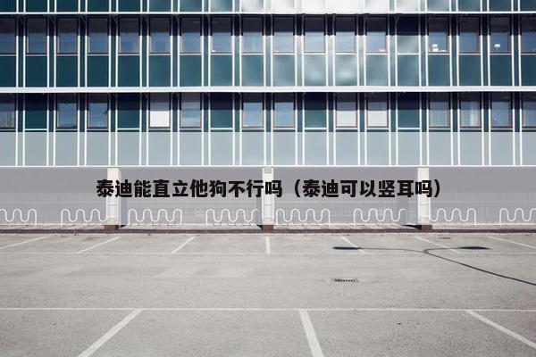 行走