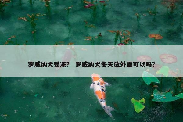 罗威纳犬受冻？ 罗威纳犬冬天放外面可以吗？