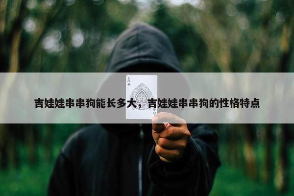吉娃娃串串狗能长多大，吉娃娃串串狗的性格特点