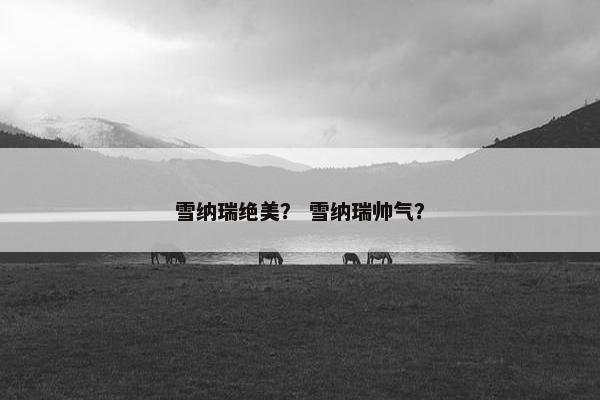 雪纳瑞绝美？ 雪纳瑞帅气？