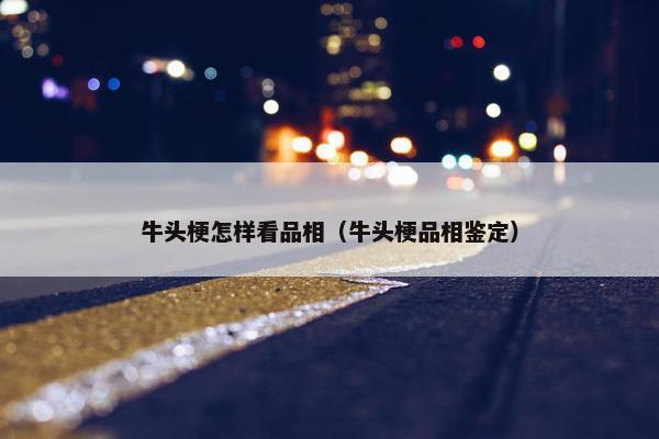 牛头梗怎样看品相（牛头梗品相鉴定）