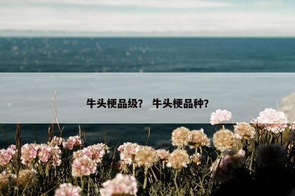 西北