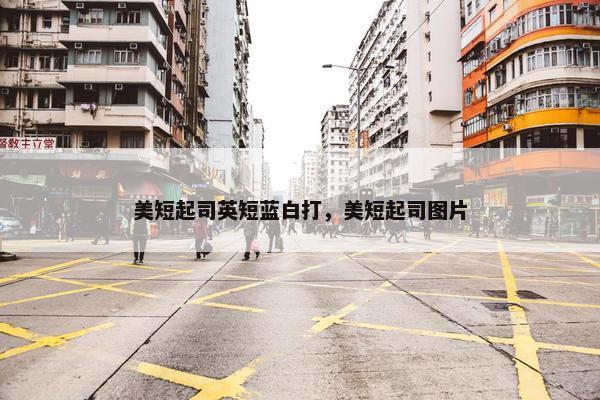 美短起司英短蓝白打，美短起司图片