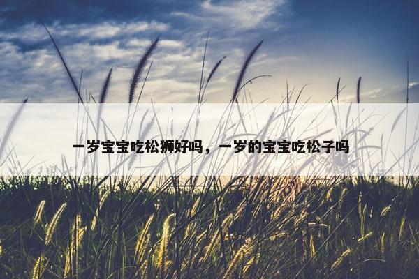 一岁宝宝吃松狮好吗，一岁的宝宝吃松子吗